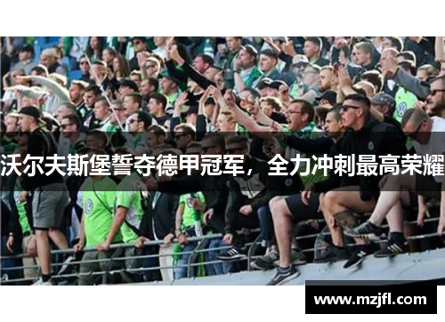 沃尔夫斯堡誓夺德甲冠军，全力冲刺最高荣耀