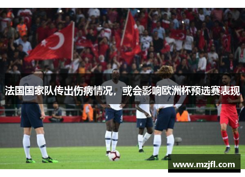 法国国家队传出伤病情况，或会影响欧洲杯预选赛表现