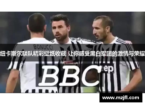 纽卡斯尔联队精彩壁纸收藏 让你感受黑白军团的激情与荣耀