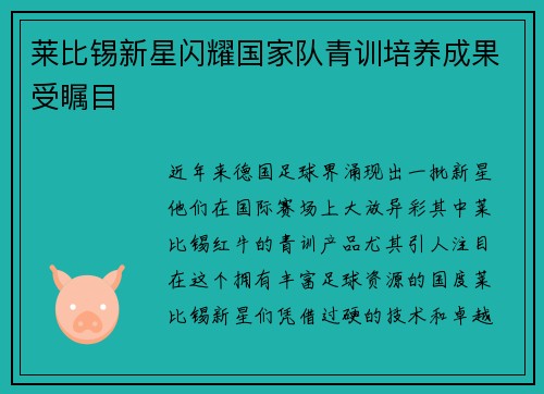 莱比锡新星闪耀国家队青训培养成果受瞩目