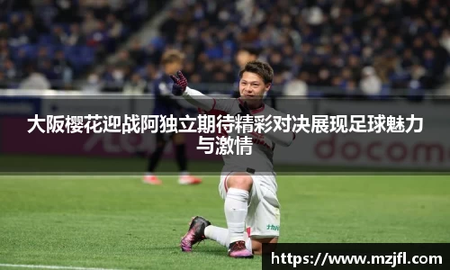 zoty中欧