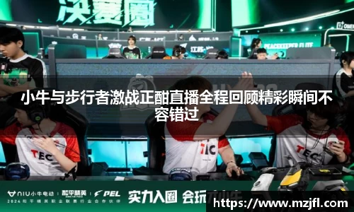 zoty中欧官网