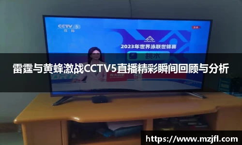 雷霆与黄蜂激战CCTV5直播精彩瞬间回顾与分析