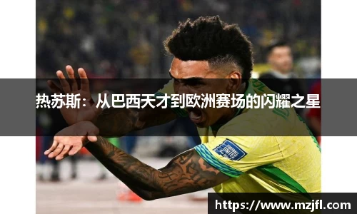 zoty中欧