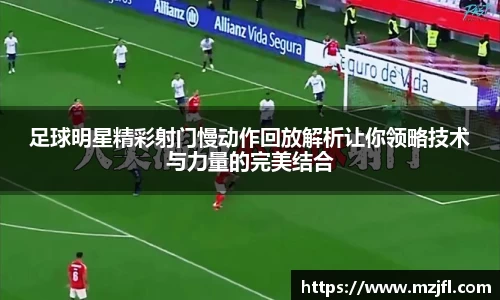 zoty中欧官网